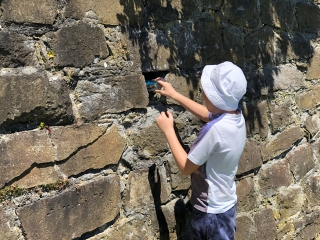 Hiding the cache